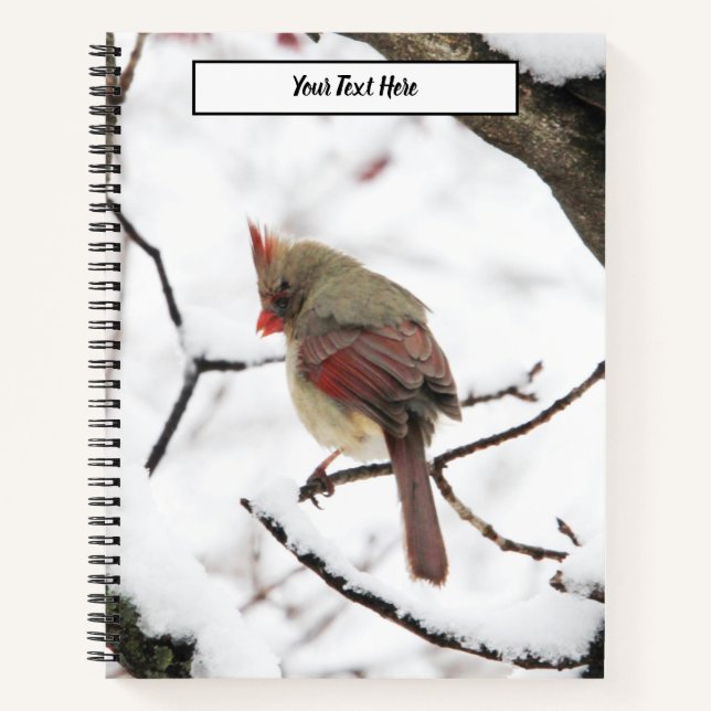 Winter Birds Notebook (Front)