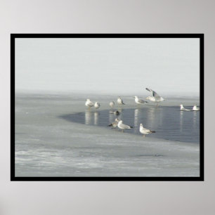 Winter Birds Poster