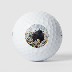 Winter Blackbird Golf Balls