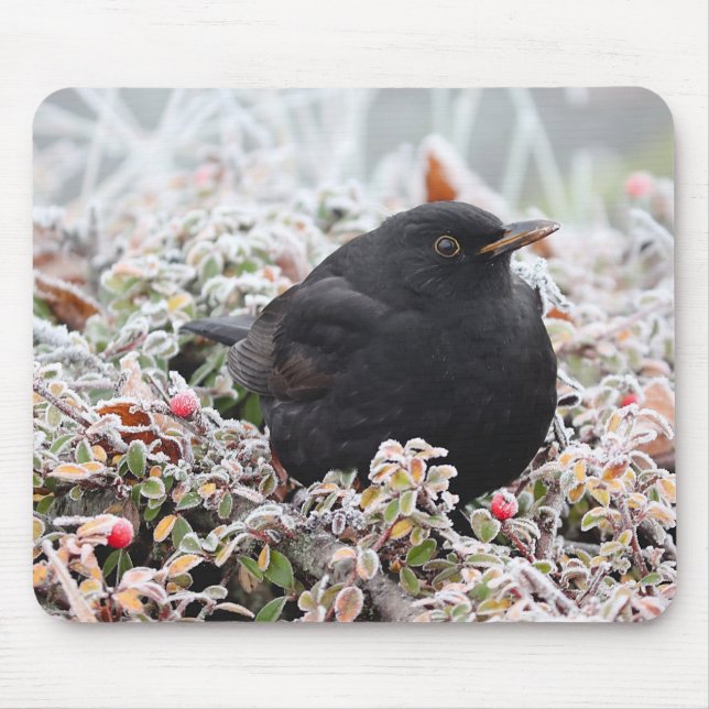 Winter Blackbird Mouse Pad (Front)