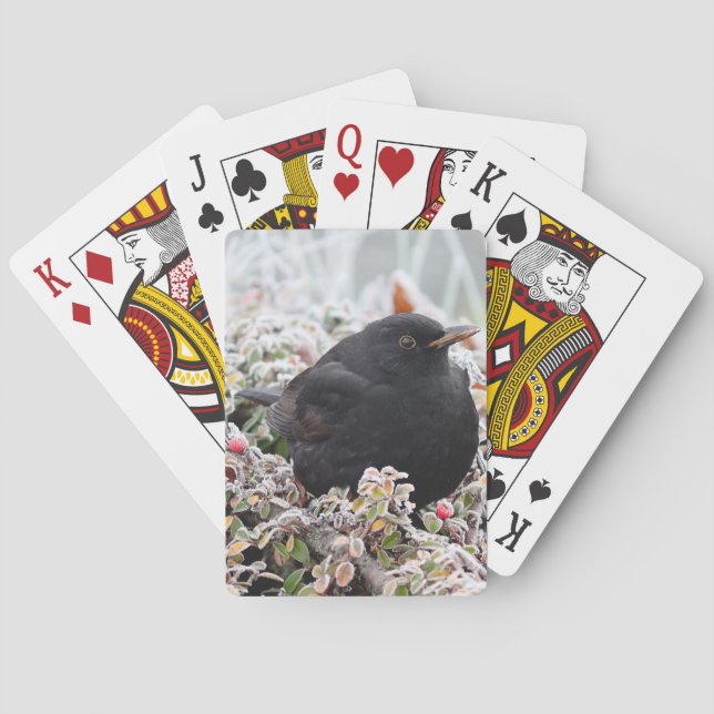 Winter Blackbird Playing Cards (Back)