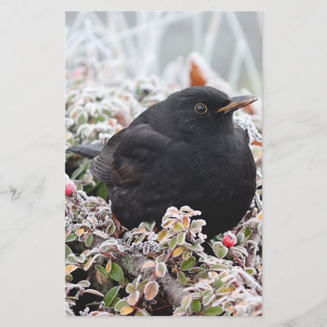 Winter Blackbird Stationery (Front)