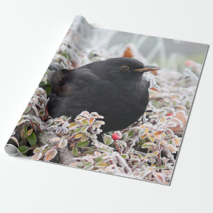 Winter Blackbird Wrapping Paper