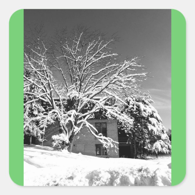 Winter Blast B+W Square Sticker (Front)