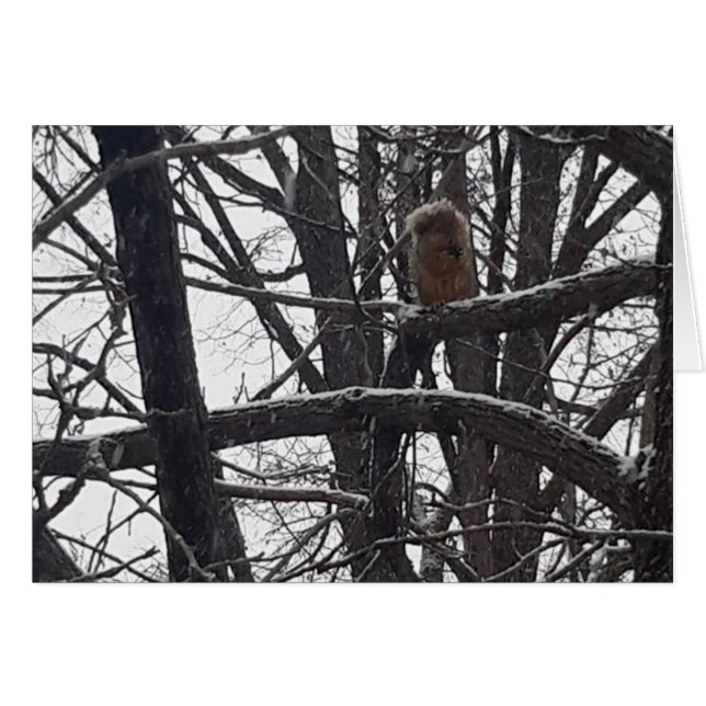 Winter Blessing Holiday Seasons WishesCard (Front Horizontal)