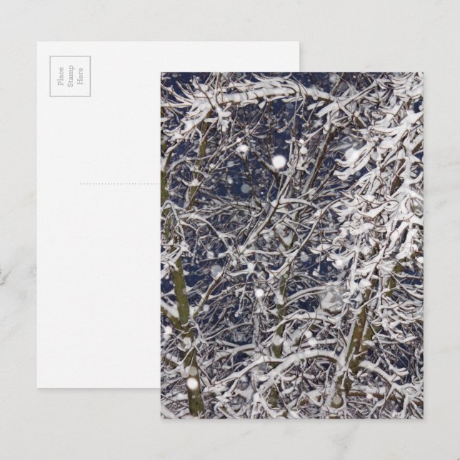 Winter Blizzard Storm Snowy Tree Nature Photograph Postcard (Front/Back)