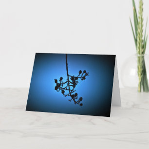 Winter Blue, card