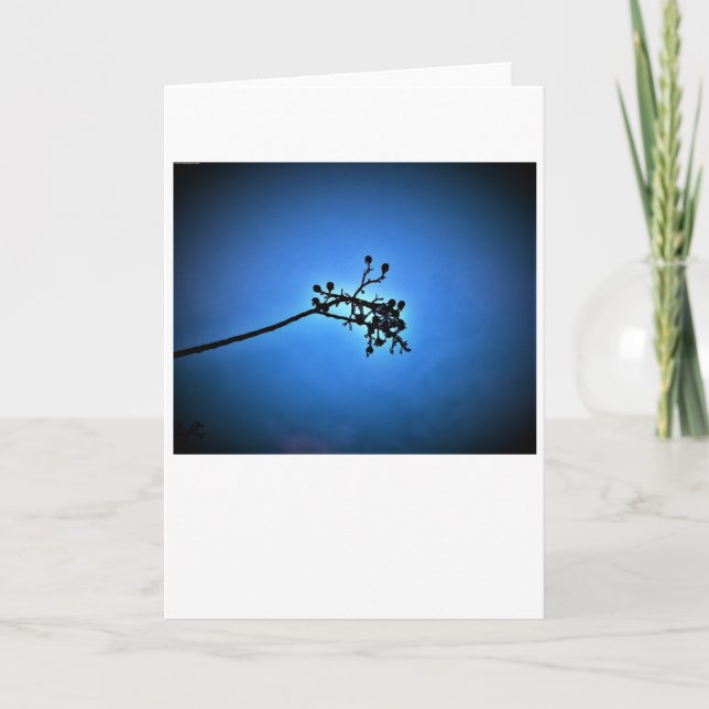 Winter Blue, card (Front)