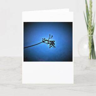 Winter Blue, card