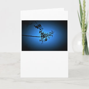 Winter Blue, card
