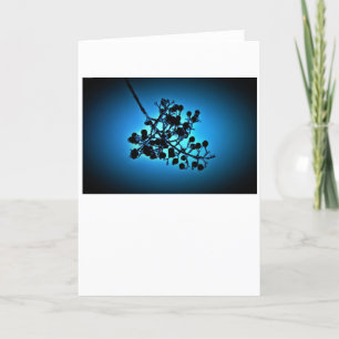 Winter Blue, card