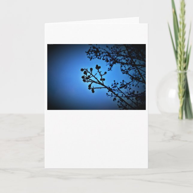 Winter Blue, card (Front)