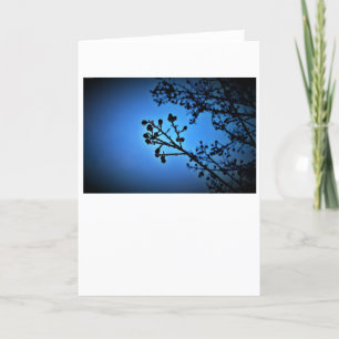 Winter Blue, card
