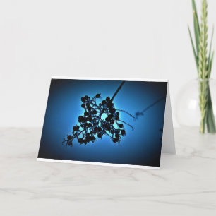 Winter Blue, card