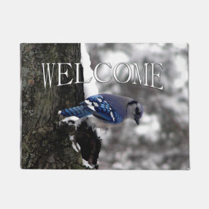 Winter Blue Jay  Doormat