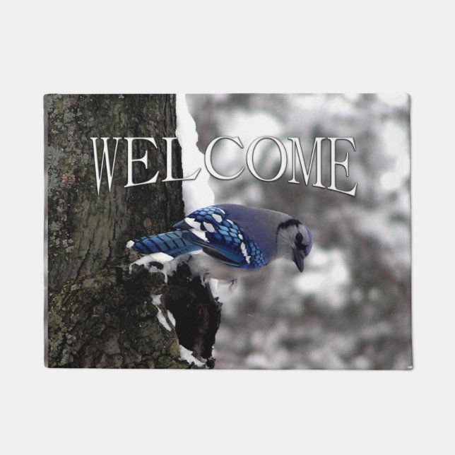 Winter Blue Jay  Doormat (Front)