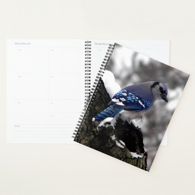 Winter Blue Jay Planner (Display)