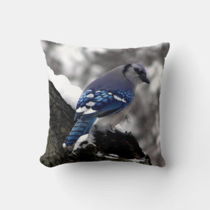 Winter Blue Jay Throw Pillow