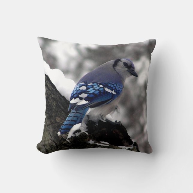 Winter Blue Jay  Throw Pillow (Front)