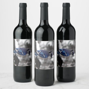 Winter Blue Jay Wine Label