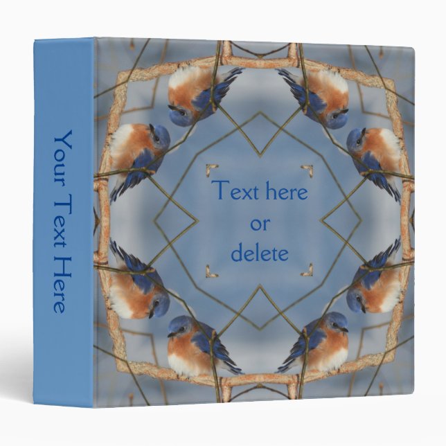 Winter Bluebird Abstract Art Nature  Binder (Front/Spine)