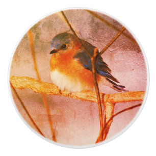Winter Bluebird Abstract Distressed Grunge  Ceramic Knob