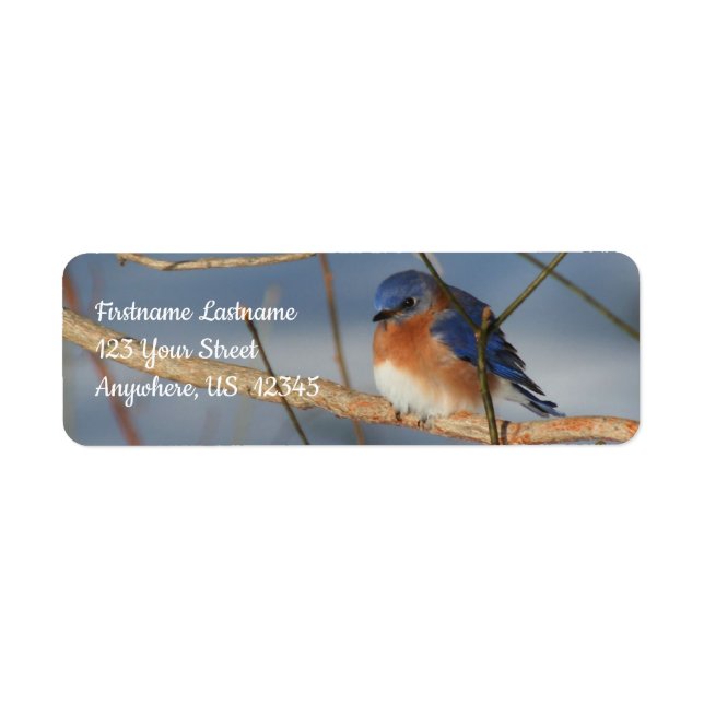 Winter Bluebird Animal Address (Front)