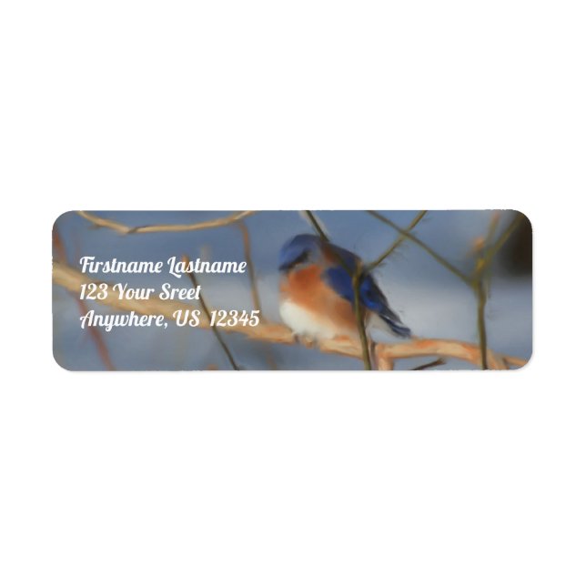 Winter Bluebird Nature Art Adresse (Devant)