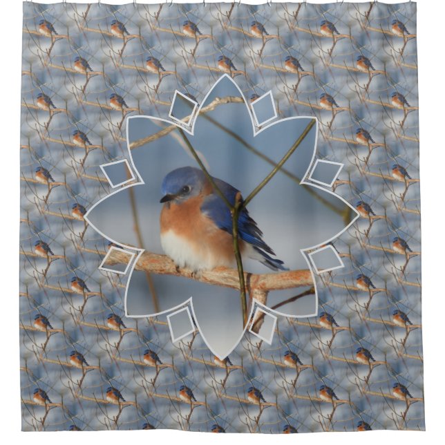 Winter Bluebird Nature Bird Art Pattern  (Front)
