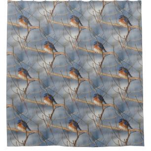 Winter Bluebird Nature Bird Art Pattern 