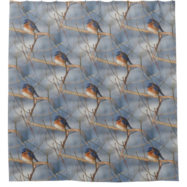 Winter Bluebird Nature Bird Art Pattern  (Front)