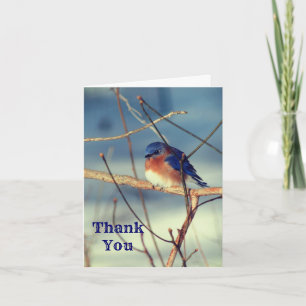 Winter Bluebird Nature Carte de remerciements pers