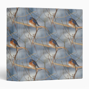 Winter Bluebird Nature Pattern Binder