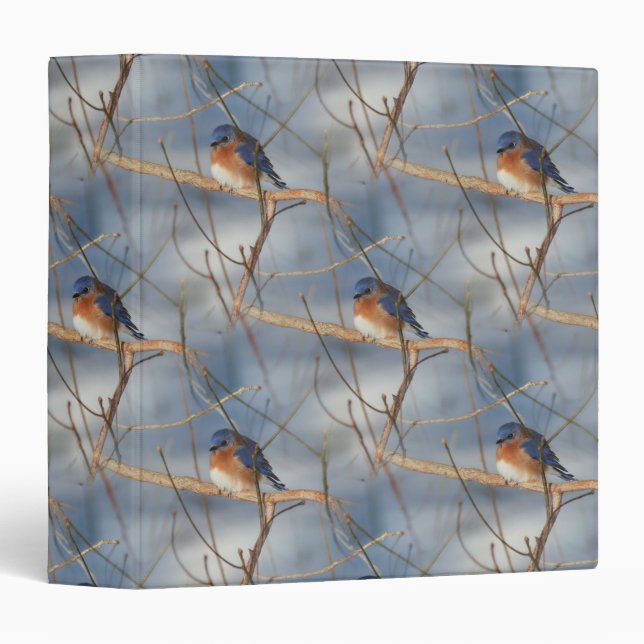 Winter Bluebird Nature Pattern Binder (Front/Spine)