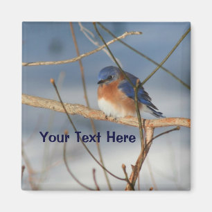 Winter Bluebird Personalized Animal Magnet
