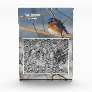 Winter Bluebird Personalized Create Your Own  Photo Block