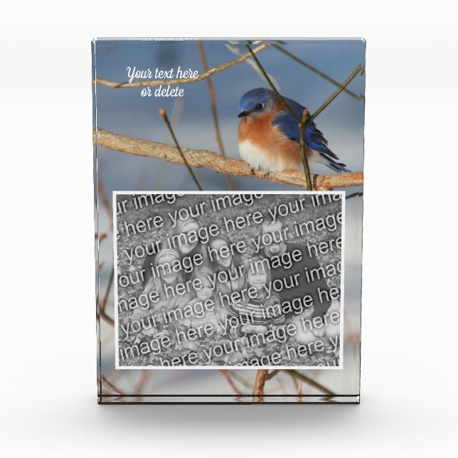Winter Bluebird Personalized Create Your Own  Photo Block (Front)