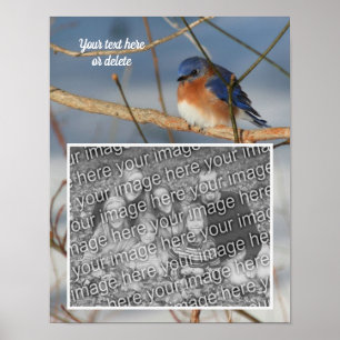 Winter Bluebird Personalized Create Your Own Photo Poster
