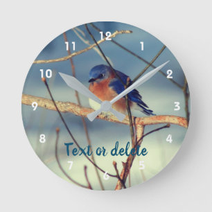 Winter Bluebird Personalized Round Clock