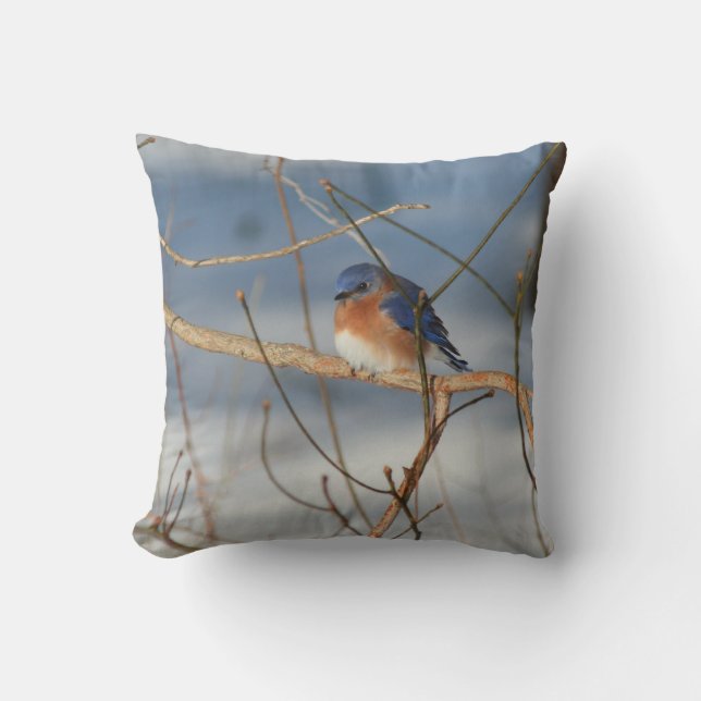 Winter Bluebird   Throw Pillow (Front)