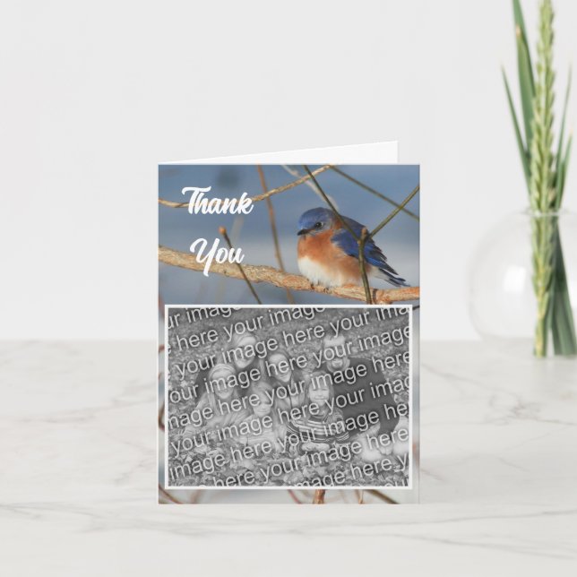 Winter Bluebird Wedding Photo  Thank You Card (Front)