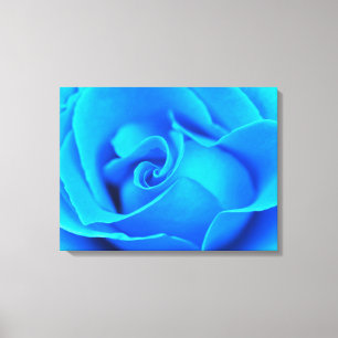 Winter Blues Rose Stretched Canvas Print