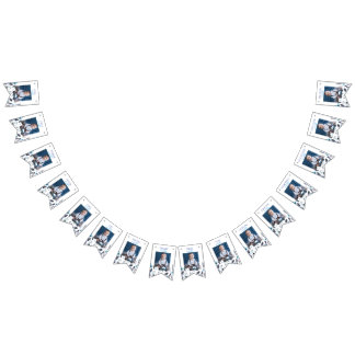 Winter Boy Onederland Birthday Monthly Photo Bunting Flags