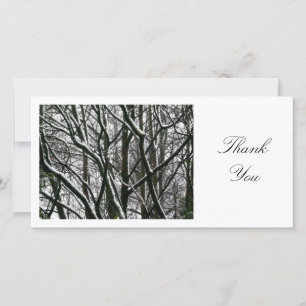 Winter Branches - Thank You