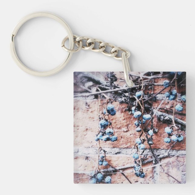 Winter Brick and Vine Keychain (Front)