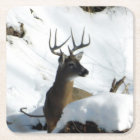 Winter Buck Coaster
