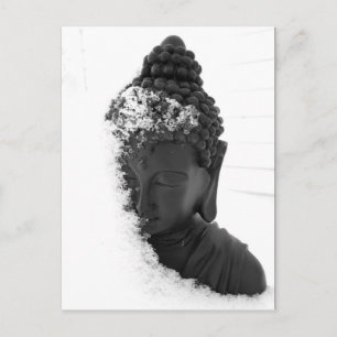 Winter Buddha Postcard