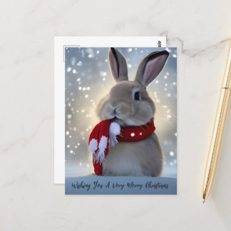  Winter Bunny Christmas  Postcard