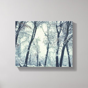 Winter Canvas Print
