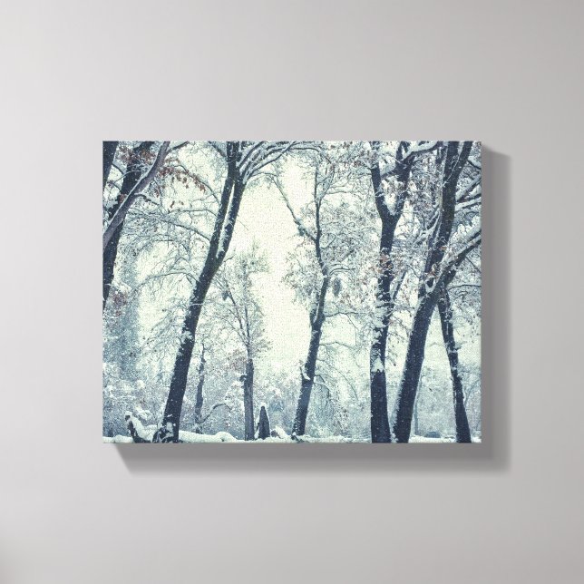 Winter Canvas Print (Front)